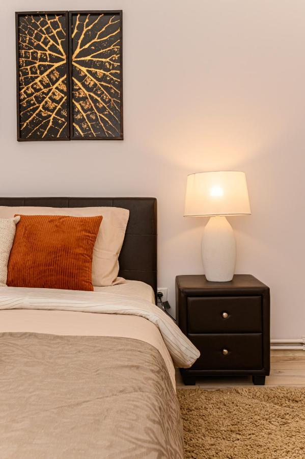 Chic&View Brasov Apartment Ngoại thất bức ảnh